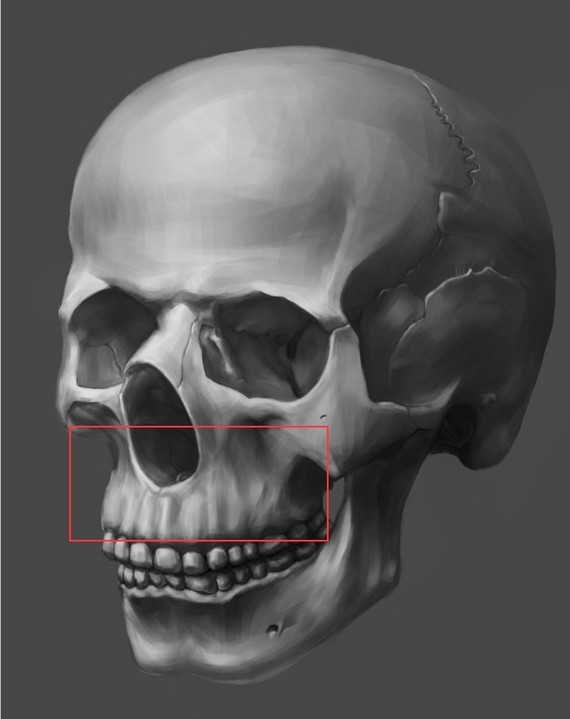 再加上孟美岐的脸有点上颌骨发育太成熟,鼻梁又比较挺, 在有些人眼里