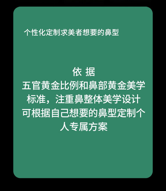 硅膠隆鼻韓式生科硅膠隆鼻假體隆鼻鼻部鼻假體