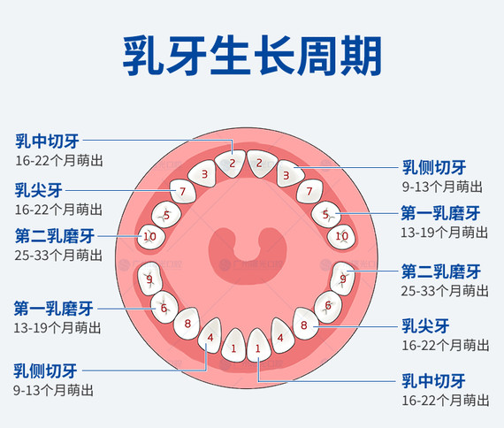拔牙拔乳前牙拔儿童乳牙儿童口腔儿童拔牙套餐微创拔牙