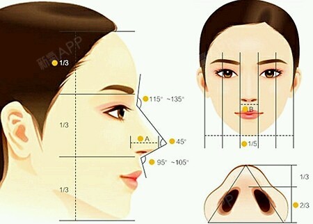 先来看一下标准鼻型是什么样子的↓↓↓符合亚洲人审美_圈子-新氧美容整形