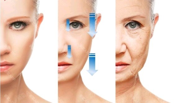 新氧- da整形外科医院 | 鼻部 | 面部轮廓 | 胸部