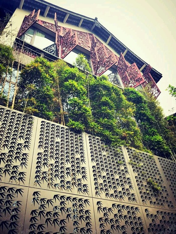 成都阴茎增大好不好_效果图_我夏到你了吗阴茎增大术后第4天_新氧美容