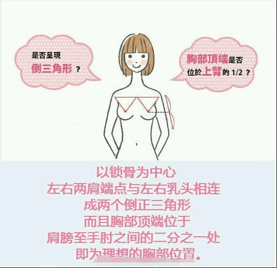美胸的标准是啥?