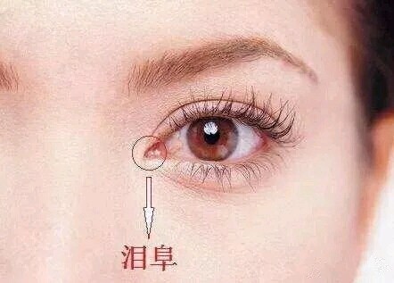 为什么明星的泪阜暴露在70%以上?