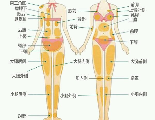 吸脂的部位怎么计算?