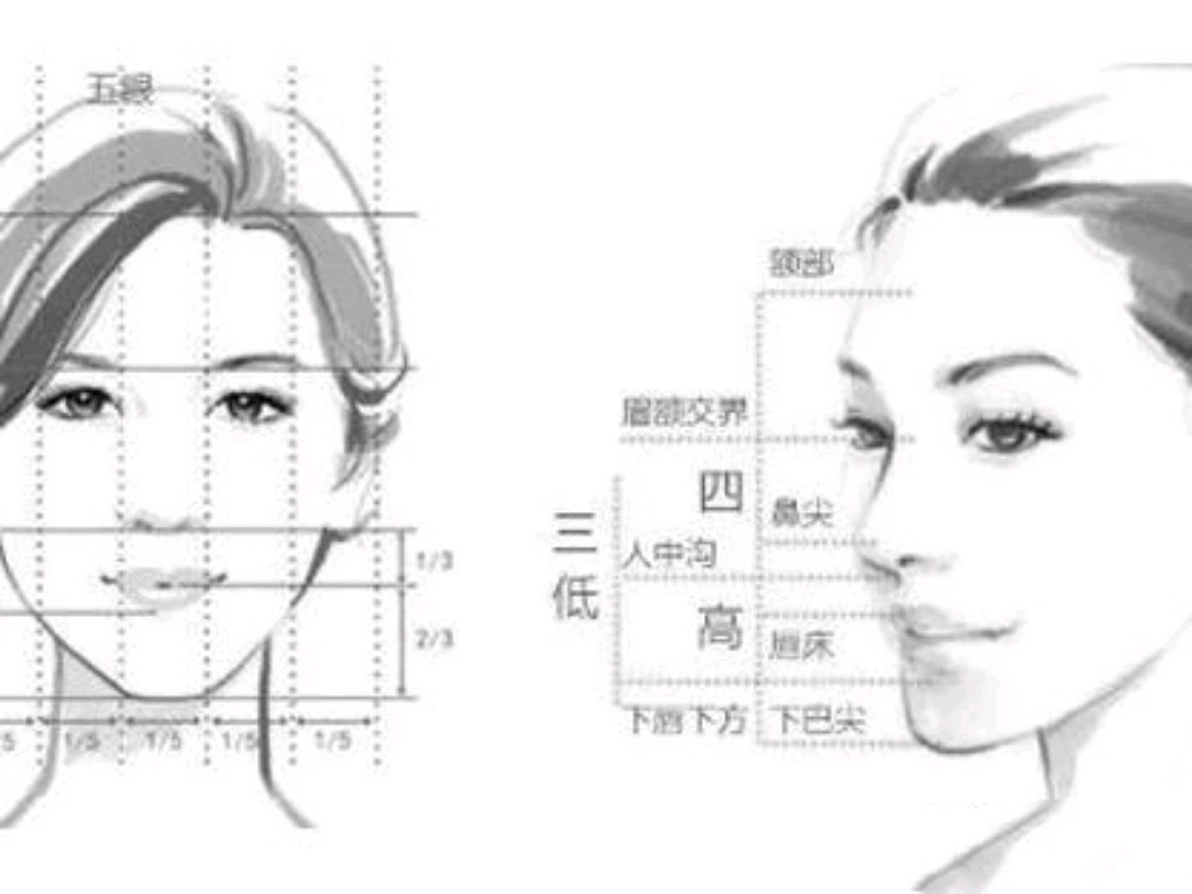 三庭:把人脸横向分为三个等分,额头到眉毛是上庭,眉毛到鼻头是中庭