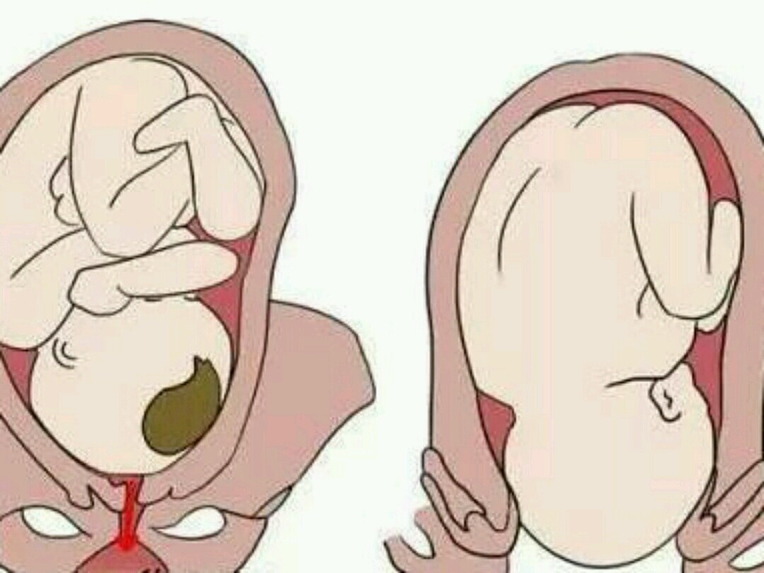 功能,是月经出血,宝宝降临的必经之路,更是两性生活最重要的性器官