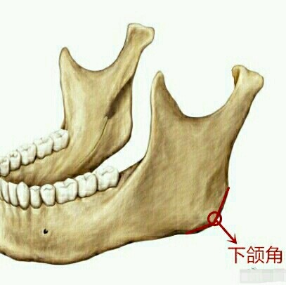 下颌角整形手术有哪几种切口方法?了解一下