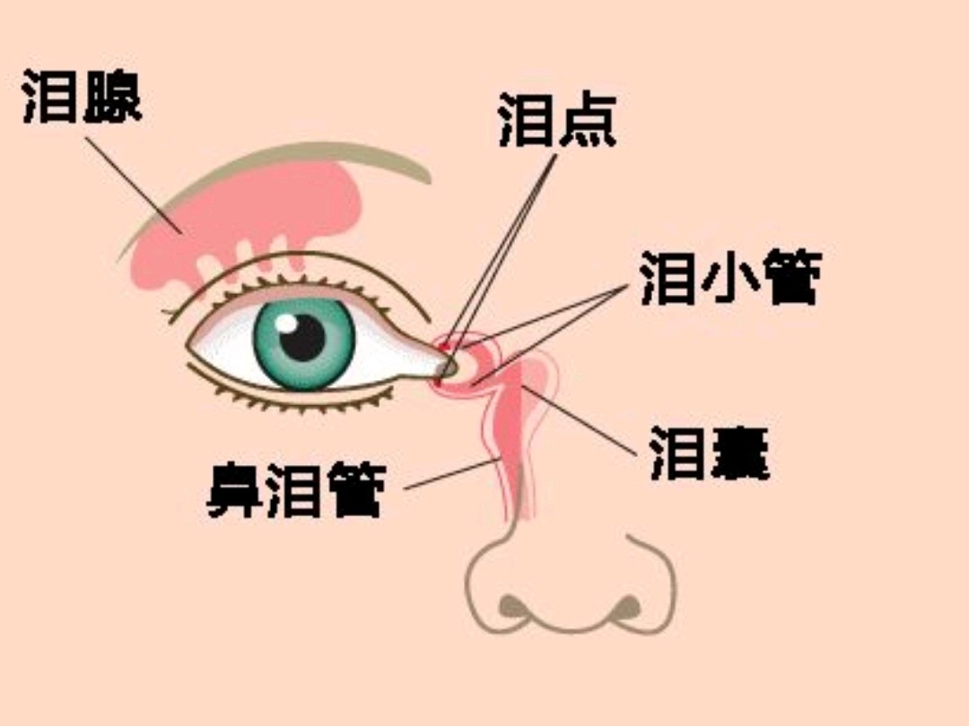 开眼角手术能够解决眼睛小,眼裂短问题,开眼角手术由于施术部位十分