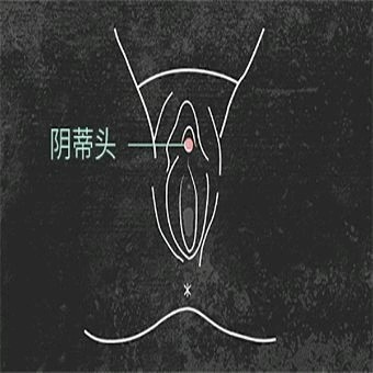 方法一:09阴蒂和阴道是性快感的主要感受器,而小阴唇_圈子-新氧美容