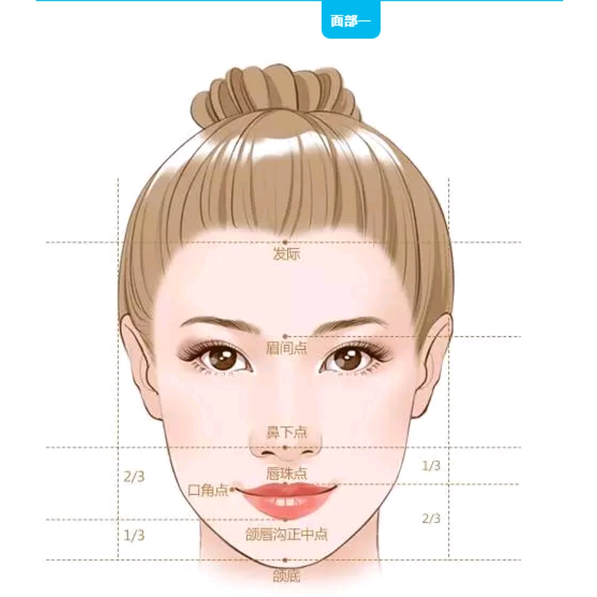 眉心在什么位置图片