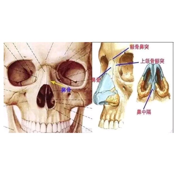 捏鼻子能让鼻梁变高吗7178捏鼻子能使鼻梁变高,是一个_圈子-新氧