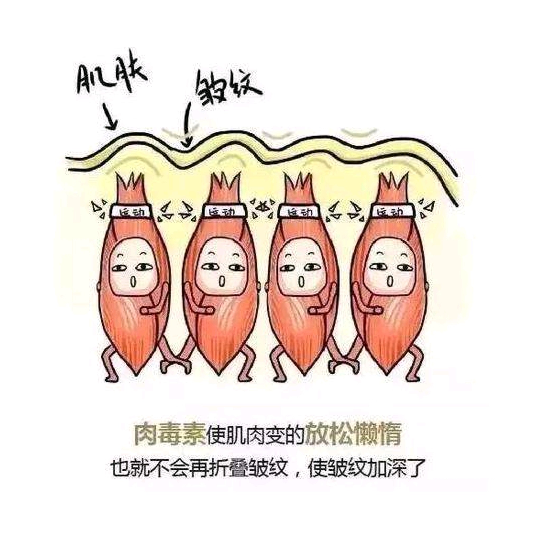 肉毒素除皱,你了解多少| 科普篇
