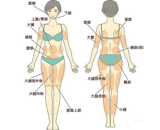 女人背平和背沟的区别图片