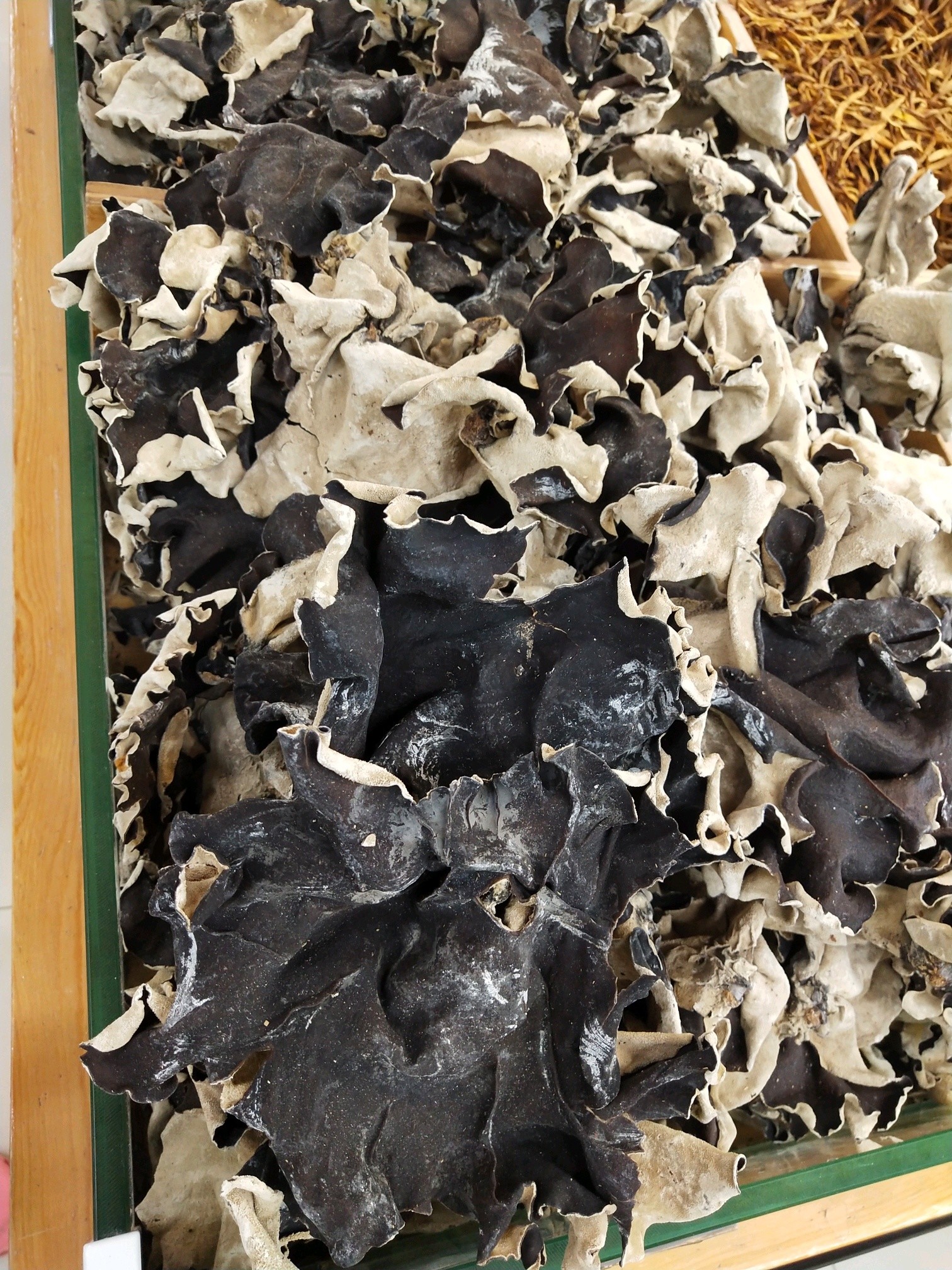 南方的木耳好大只,好像二师兄的耳朵90咬起来噶滋噶滋_圈子-新氧