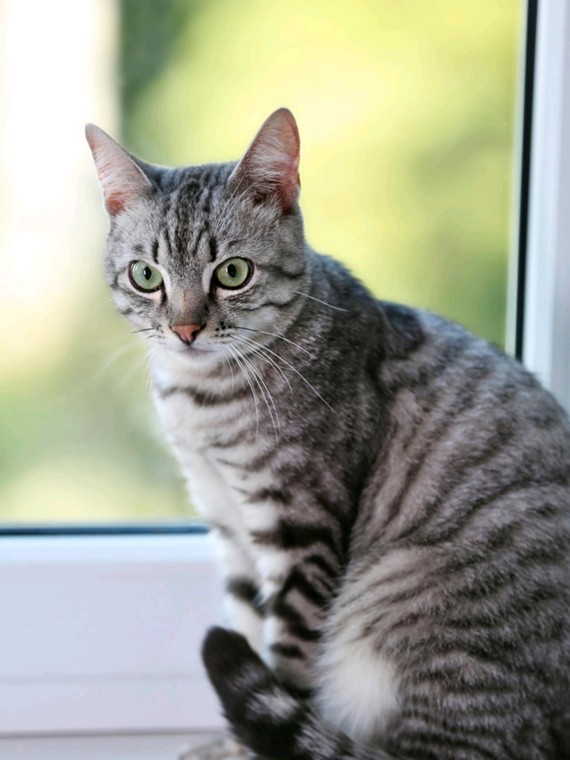 别被美容院忽悠了!脂肪丰胸真的不安全!自体脂