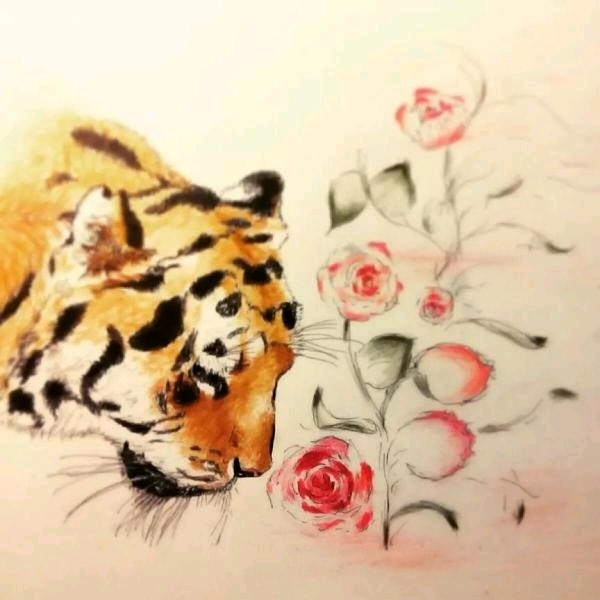 tiger sniffs the rose图片