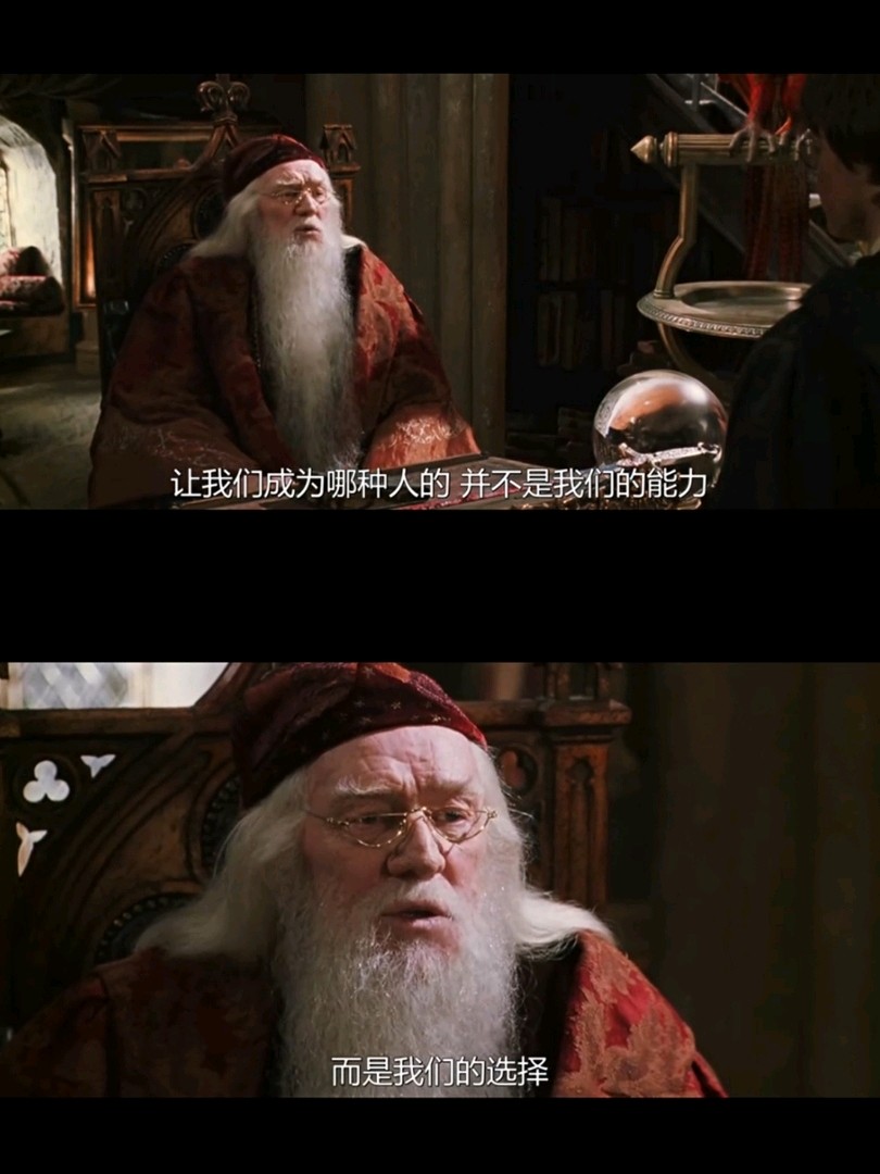 最喜欢的小说《哈利波特》,特别喜欢邓布利多对哈利说的这句话