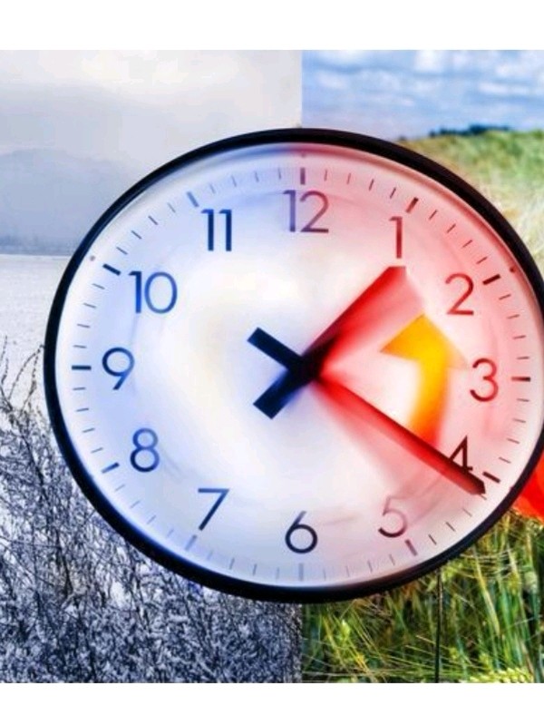 轻断食八小时减肥法98上篇说了女孩子还是要做身材管理_圈子-新氧