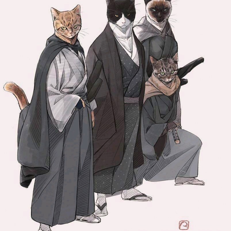 猫武士全部人物图片图片