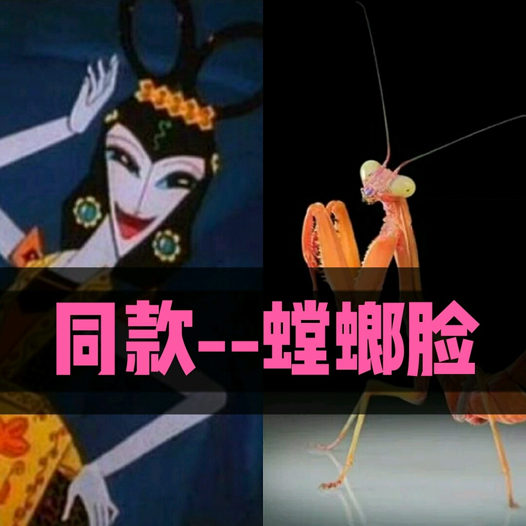 美商提高#在男帅女美的娱乐圈中,居然藏着螳螂脸的_圈子-新氧美容