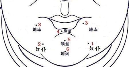 俗语说"地库有黑痣,富裕几辈子",下巴处的地库是面相上藏金纳银的地方