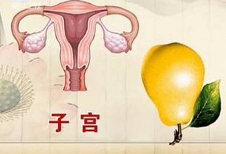 子宫护理方法《一》