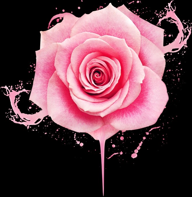 939393很多女性朋友说起私处的烦恼,就停不下来