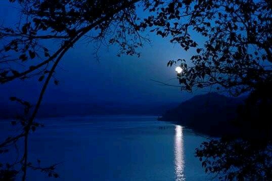 夜色深沉月光皎洁倒映在水中顿时波光粼粼