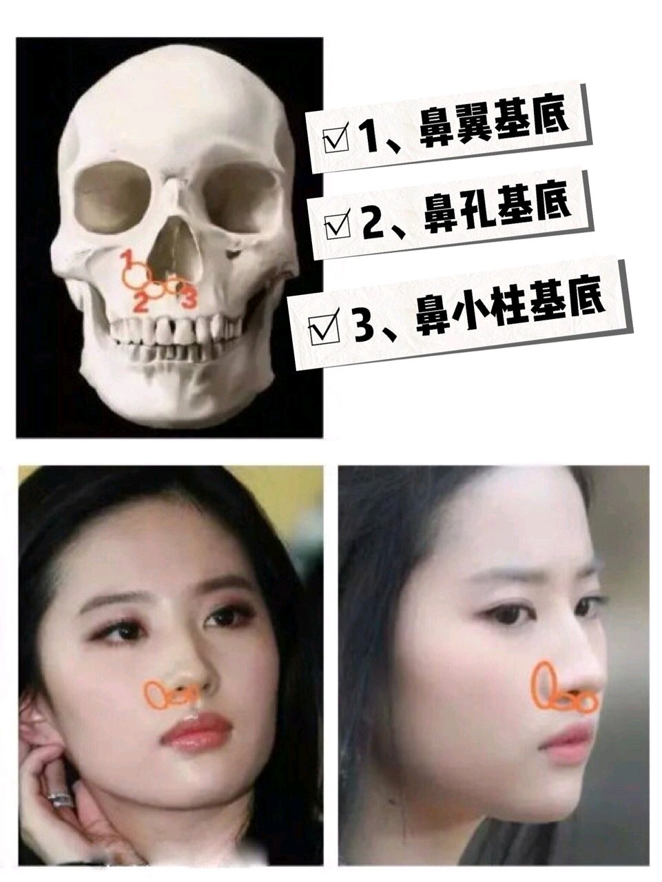 什么是好看的鼻基底?