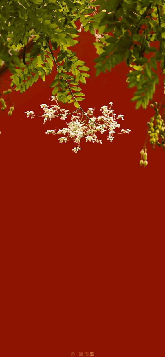 伍 故宫宫墙红_圈子-新氧美容整形