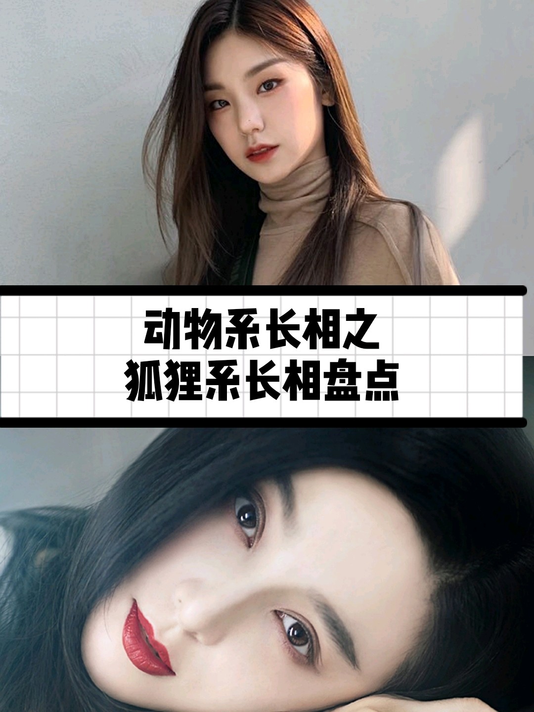 动物系列长相谁是颜值霸主之狐狸系长相盘点