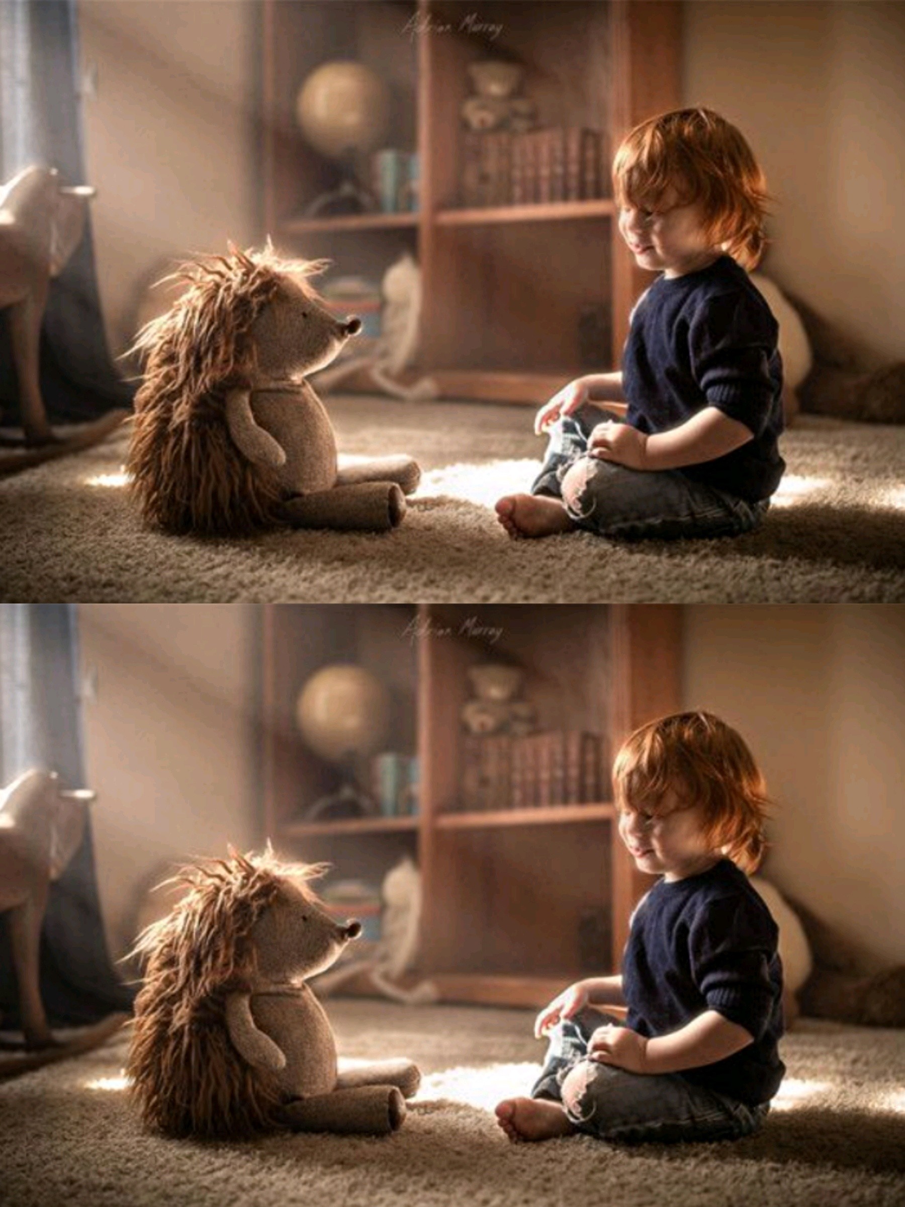 萌娃与萌宠在一起最有爱了