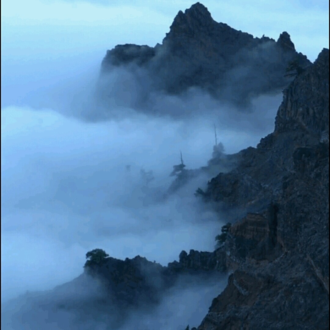 迷人的山中景色云雾缭绕颇有人间仙境的味道