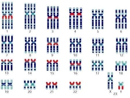 说起星二代,大家都很关心他们的颜值是否继承了明星父母.