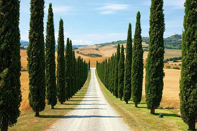 画面均衡,稳定,有安全,宁静感.