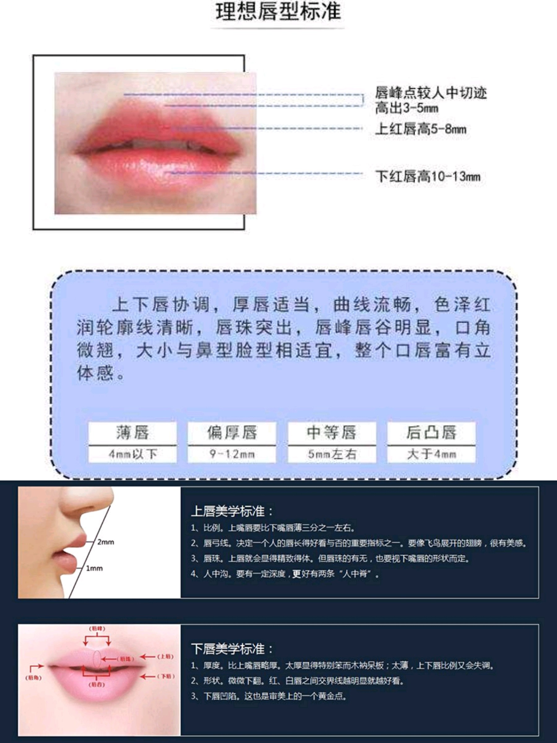 嘴唇位置决定你的面部气质