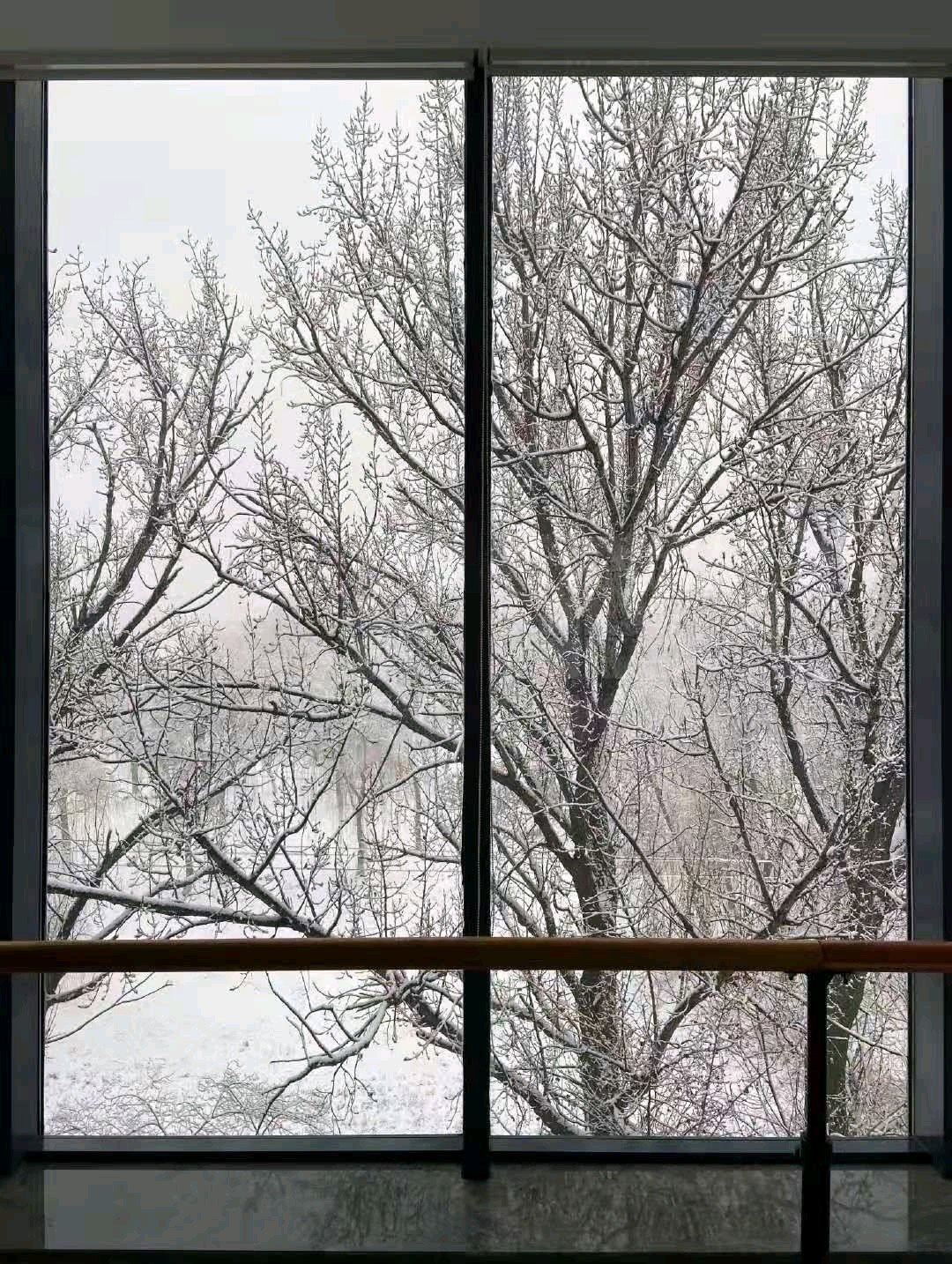 窗外的雪景啊