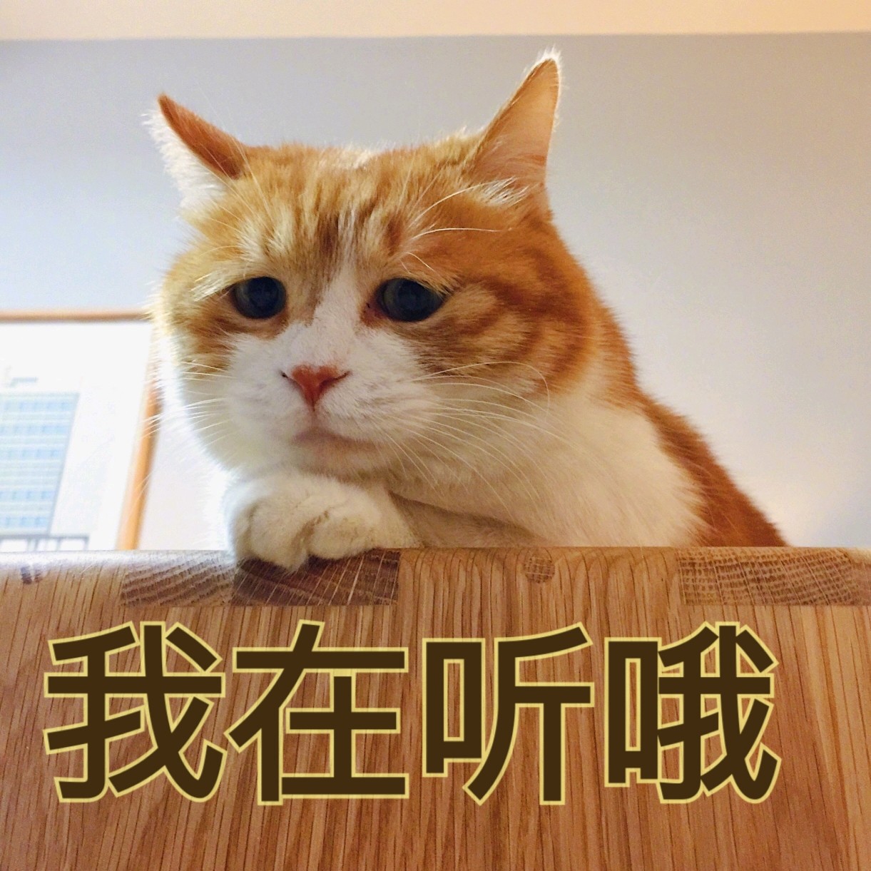 慢慢说呀