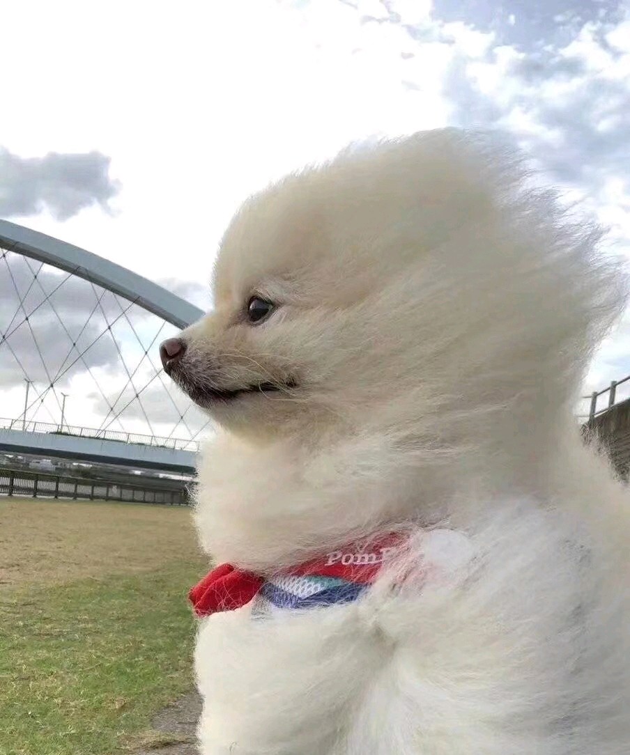 我在选择手术之前,提前做过很多功课,看了几家觉得