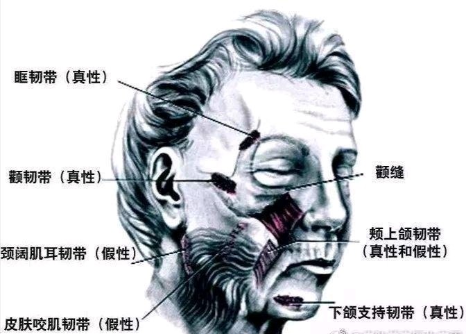 前久林心如某活动上无p图照引发了热议,加上她晒无滤_圈子-新氧美容
