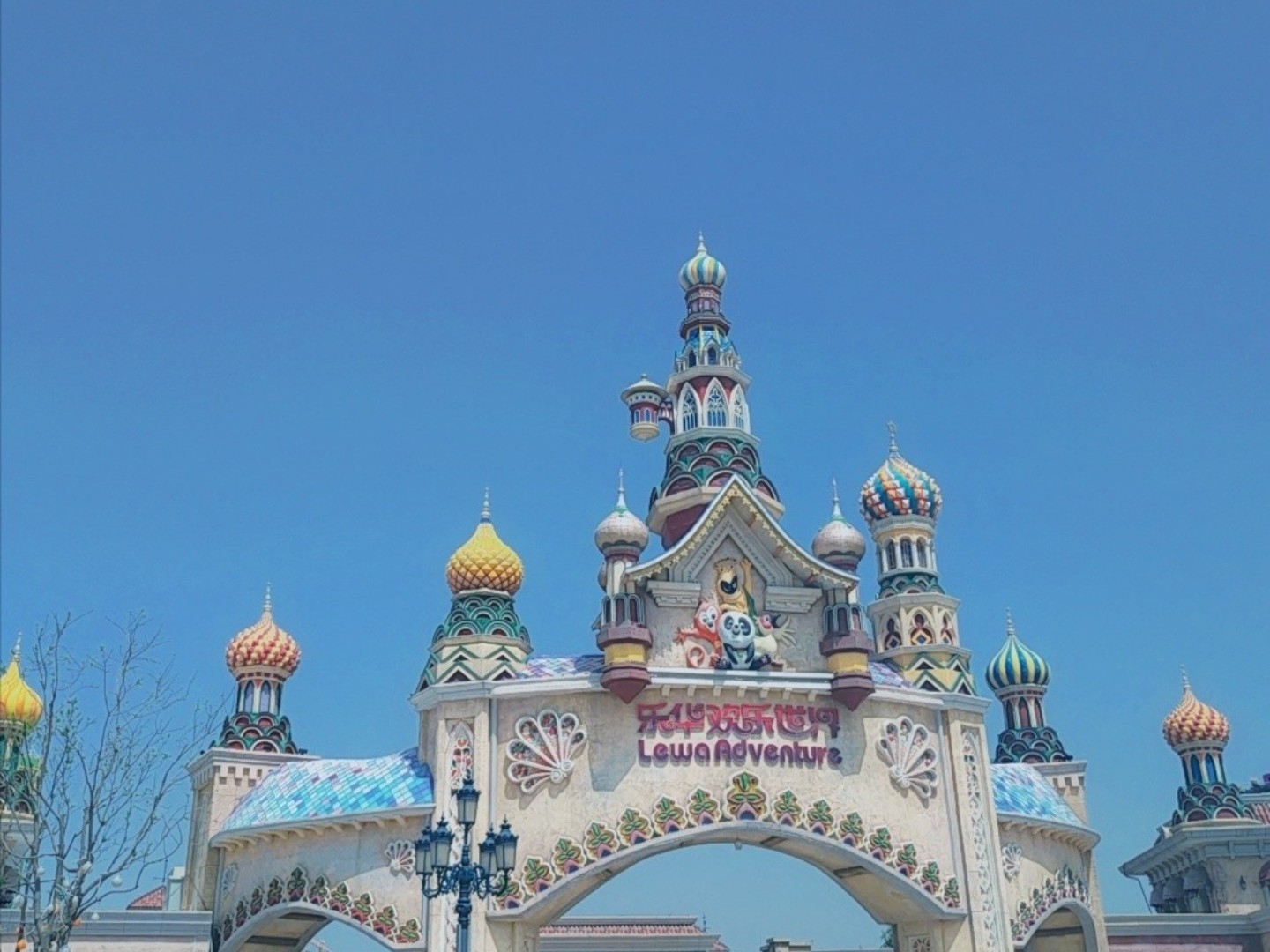 新氧社区日许愿就宠你