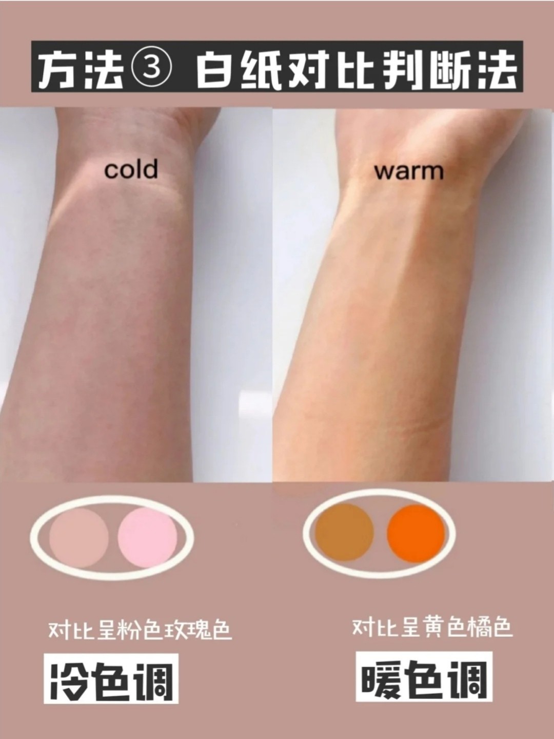 如何判断皮肤是什么色调呢?