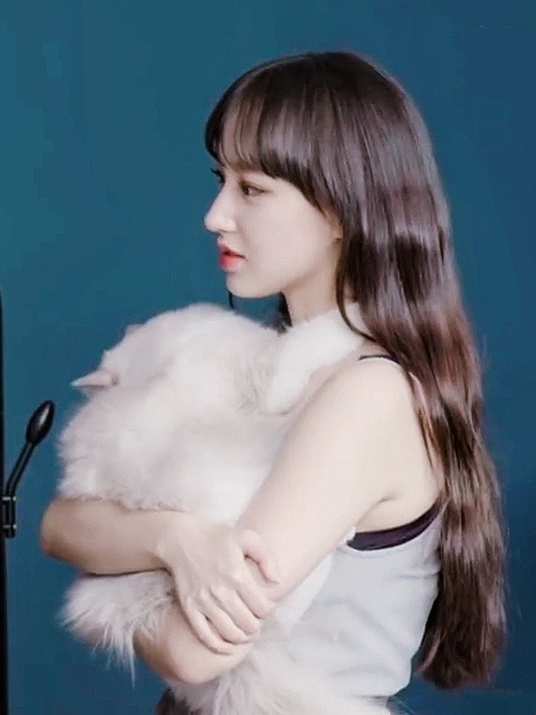 程潇 侧颜 绝了!