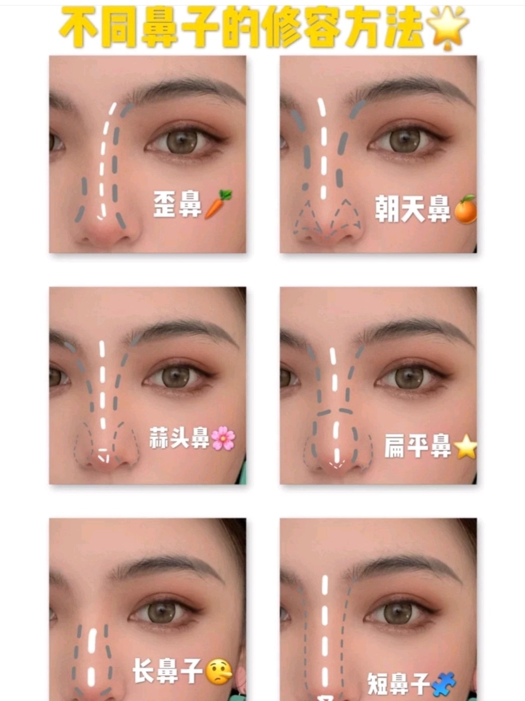 女人十种鼻型分类图图片