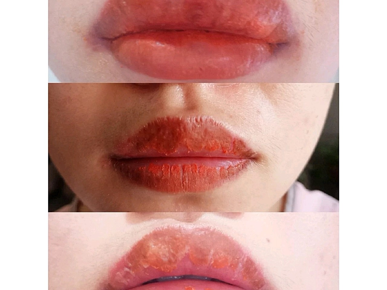 纹唇橙红色反色效果图图片