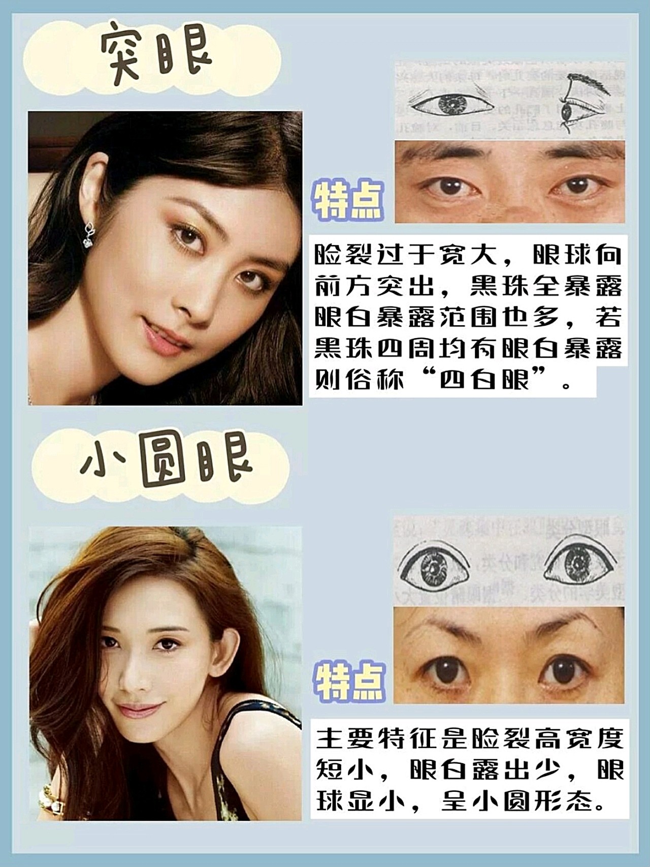 不同眼型 分类图片
