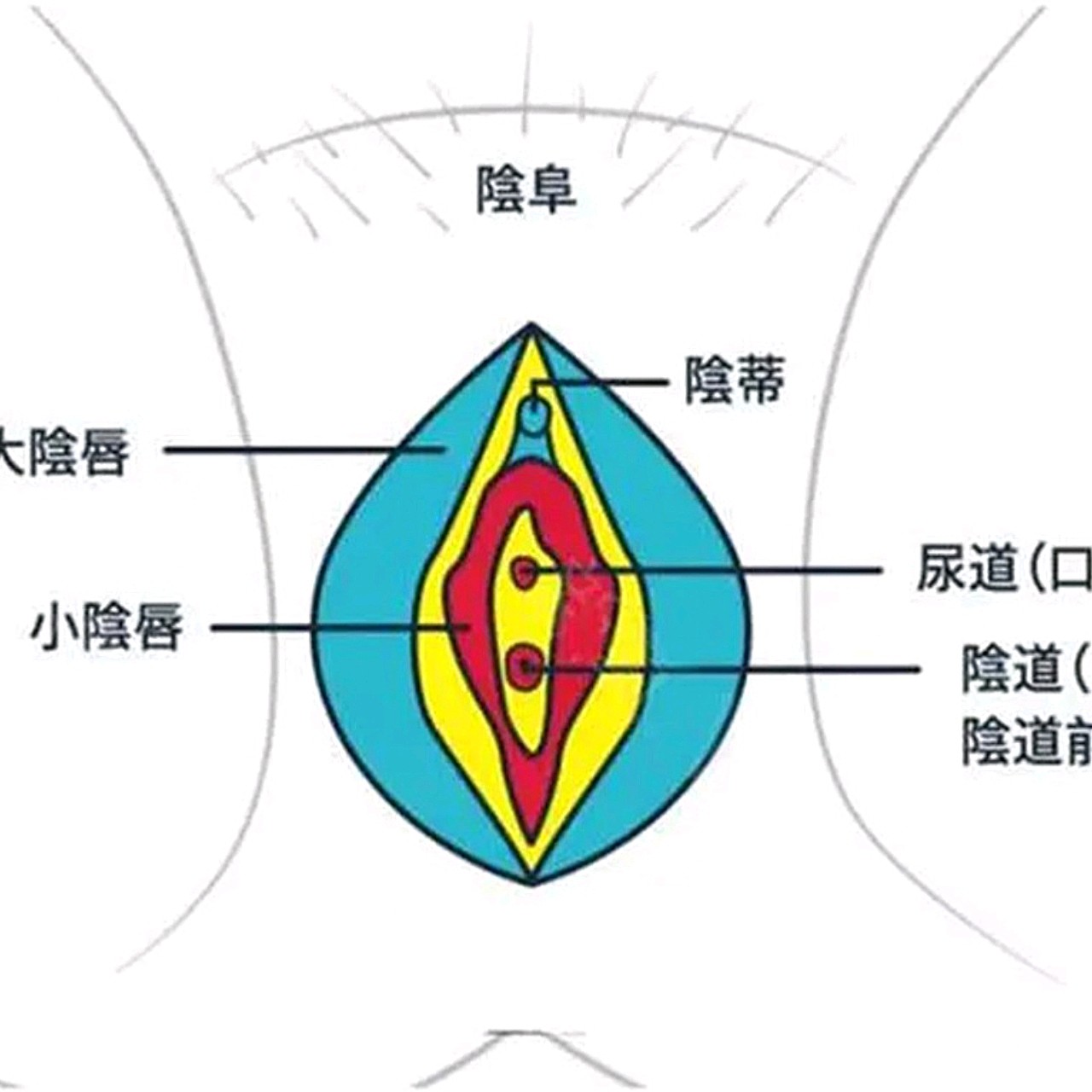 每个女人都希望自己是完美的98,尤其是在另一半面前