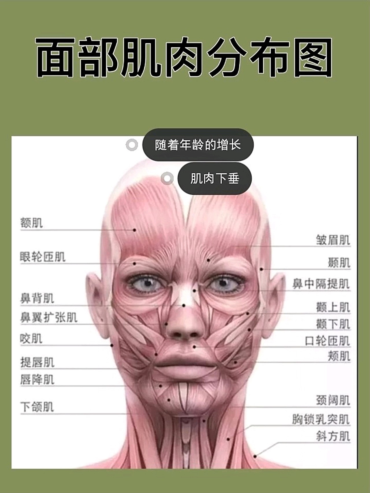 30 发腮连黄圣依刘亦菲舒畅都没逃过