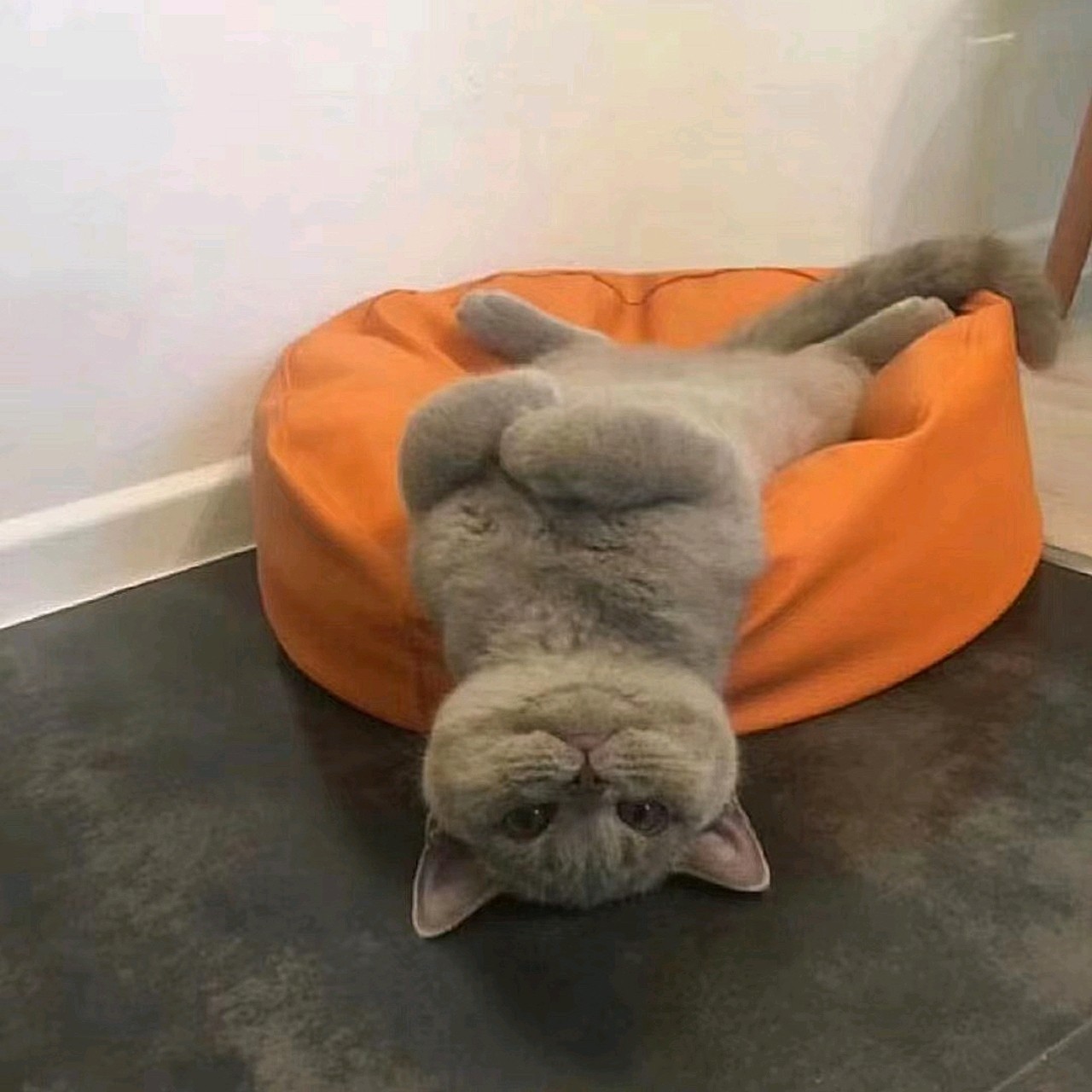 好想回家睡24小时